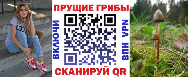 Псилоцибиновые грибы мухоморы  Купить где  Бавлы 